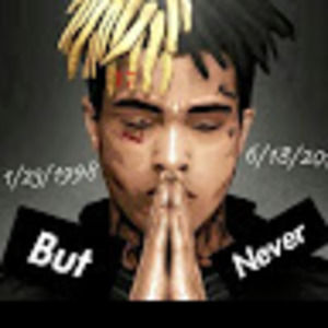 Meet your Posher, Bradley